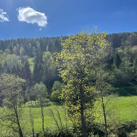 Nad Rzeka W Tyliczu Horská chata Tylicz